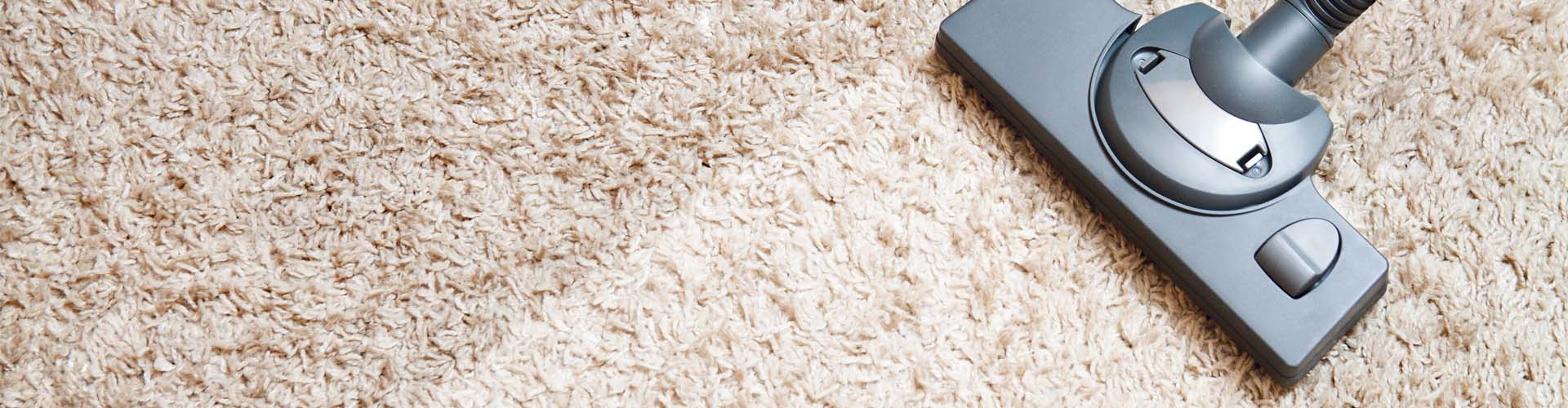 INDIAN WELLS Tough Steam Green Carpet Cleaning